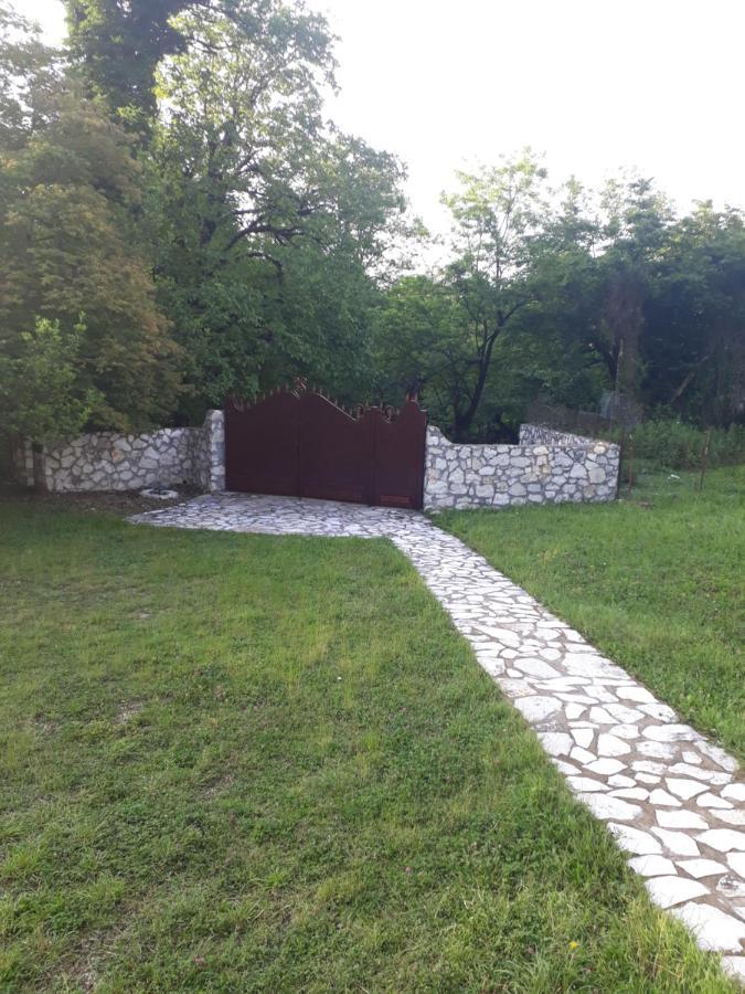House At The Forest / Სახლი Ტყის Პირას Gordi Exterior photo